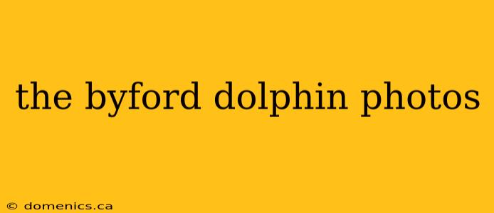 the byford dolphin photos