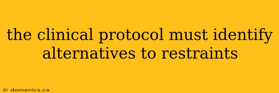 the clinical protocol must identify alternatives to restraints