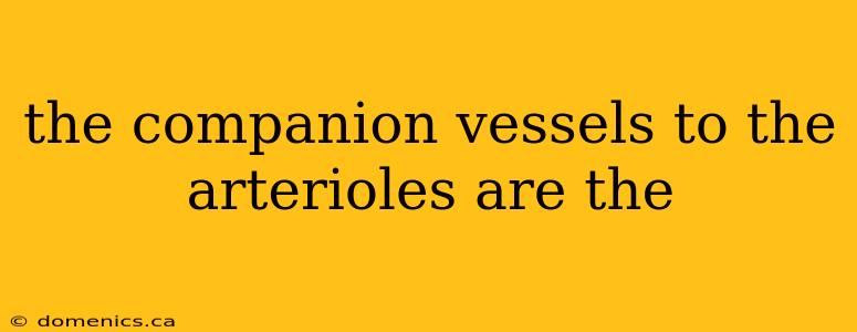 the companion vessels to the arterioles are the