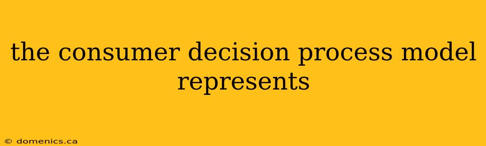 the consumer decision process model represents