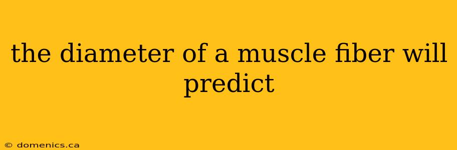 the diameter of a muscle fiber will predict