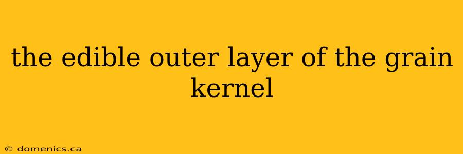 the edible outer layer of the grain kernel