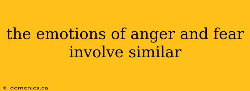 the emotions of anger and fear involve similar