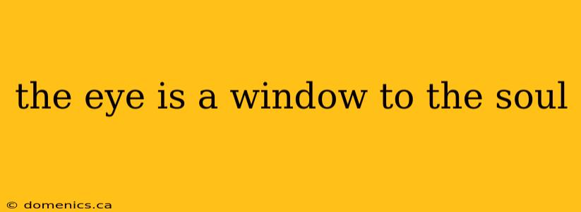 the eye is a window to the soul