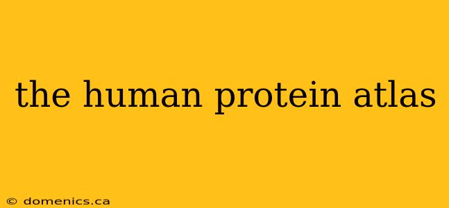 the human protein atlas