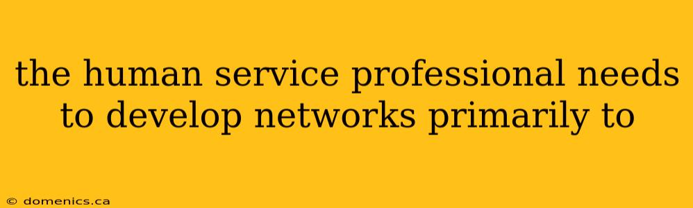 the human service professional needs to develop networks primarily to