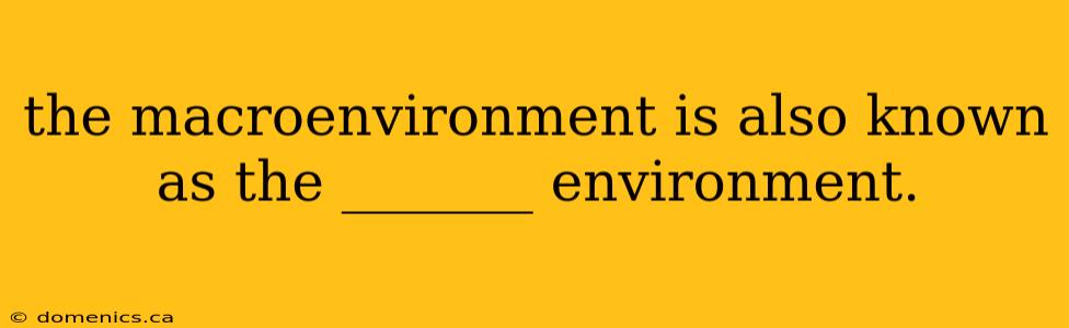 the macroenvironment is also known as the _______ environment.