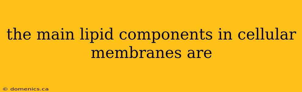 the main lipid components in cellular membranes are