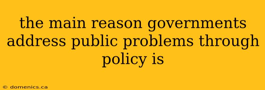 the main reason governments address public problems through policy is