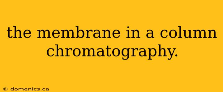 the membrane in a column chromatography.