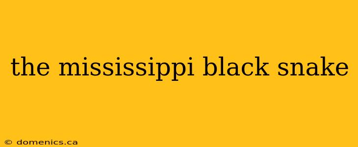 the mississippi black snake