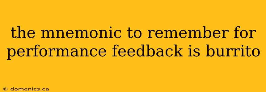 the mnemonic to remember for performance feedback is burrito