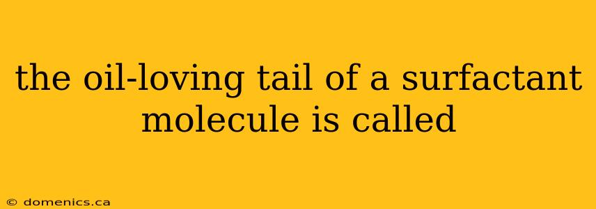 the oil-loving tail of a surfactant molecule is called