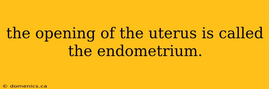 the opening of the uterus is called the endometrium.