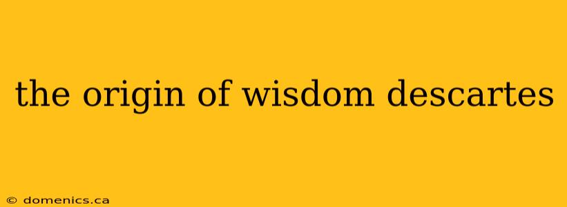 the origin of wisdom descartes