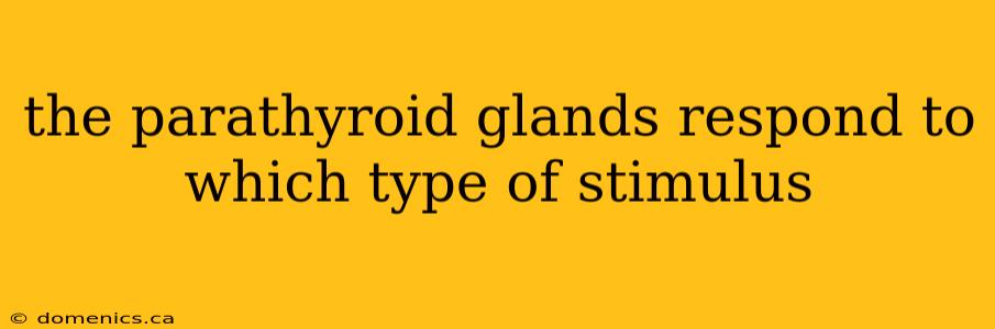 the parathyroid glands respond to which type of stimulus