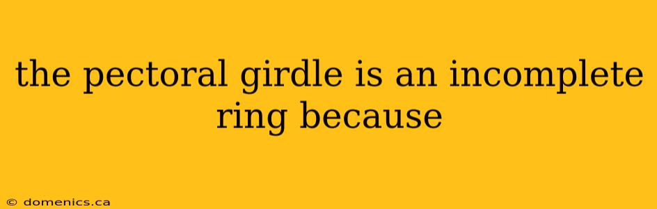 the pectoral girdle is an incomplete ring because