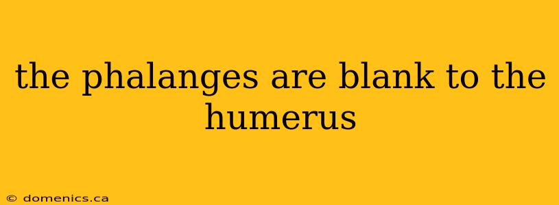 the phalanges are blank to the humerus