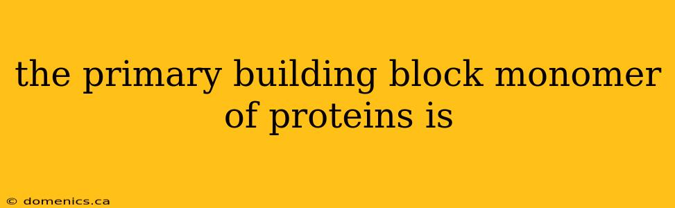 the primary building block monomer of proteins is