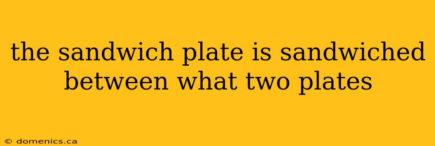 the sandwich plate is sandwiched between what two plates