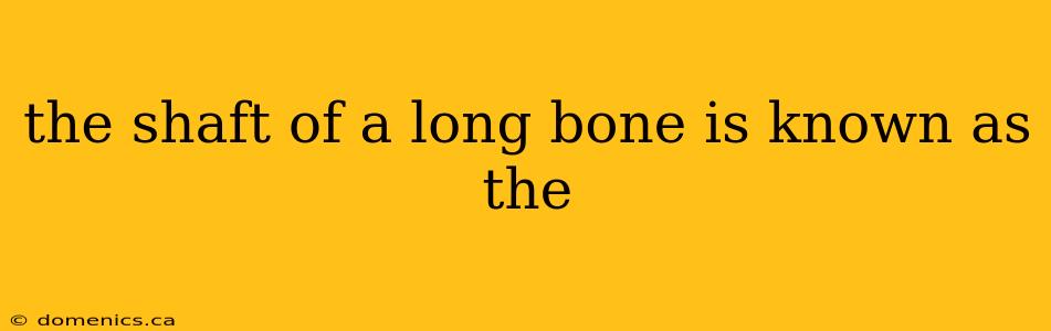 the shaft of a long bone is known as the