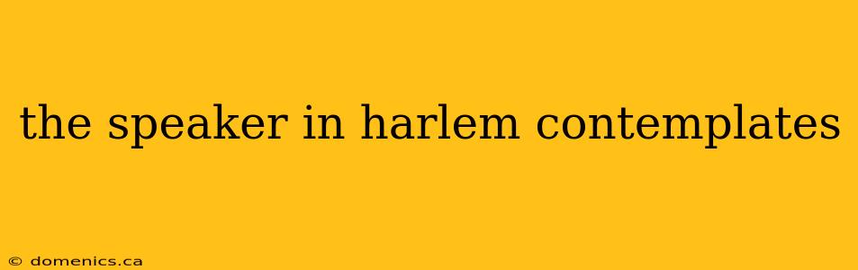 the speaker in harlem contemplates
