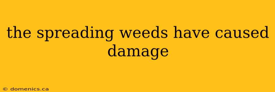 the spreading weeds have caused damage