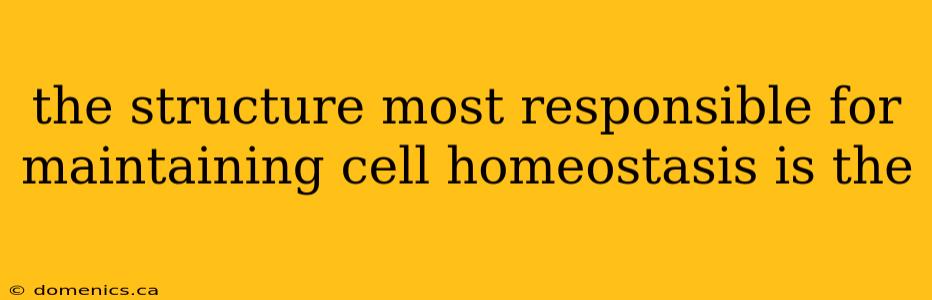 the structure most responsible for maintaining cell homeostasis is the