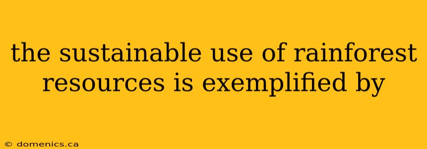 the sustainable use of rainforest resources is exemplified by