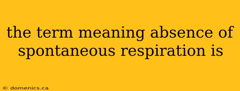 the term meaning absence of spontaneous respiration is