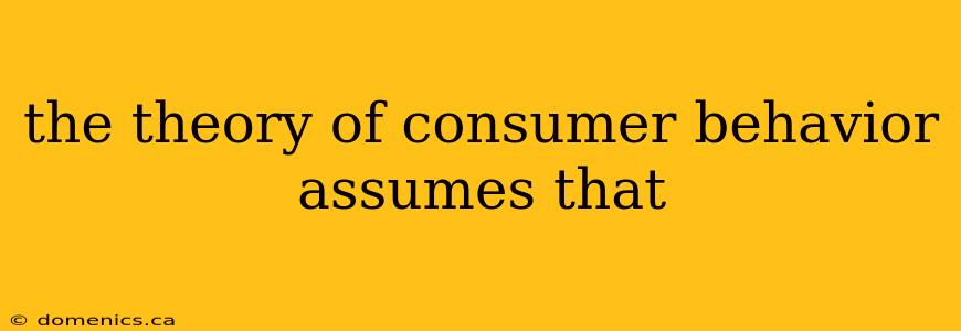 the theory of consumer behavior assumes that