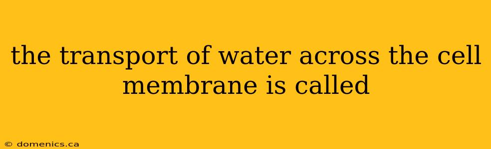 the transport of water across the cell membrane is called