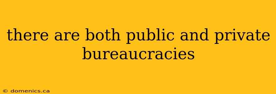 there are both public and private bureaucracies