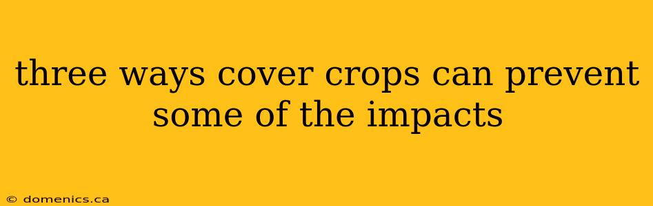 three ways cover crops can prevent some of the impacts