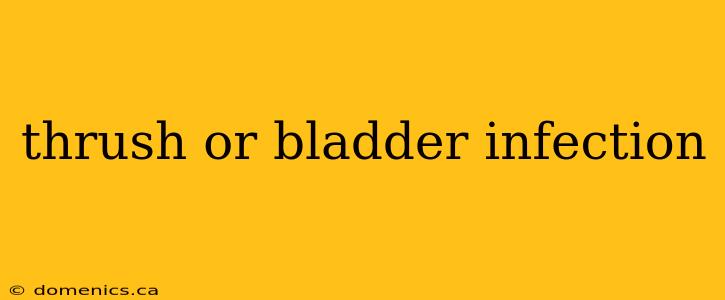 thrush or bladder infection