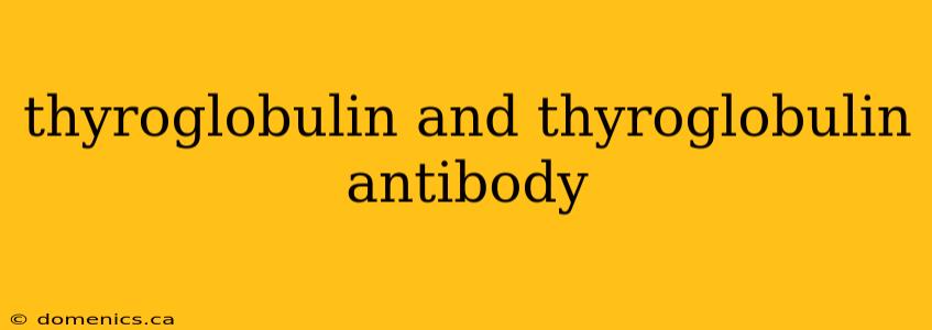 thyroglobulin and thyroglobulin antibody