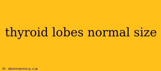 thyroid lobes normal size