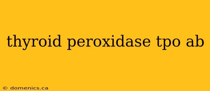 thyroid peroxidase tpo ab