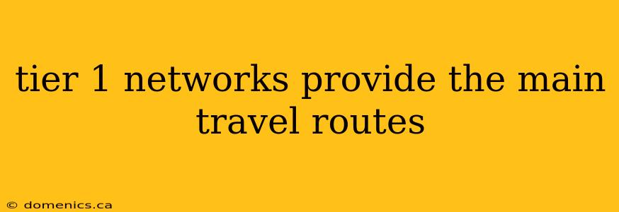 tier 1 networks provide the main travel routes