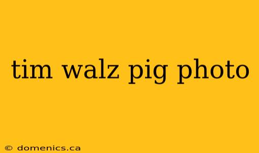 tim walz pig photo