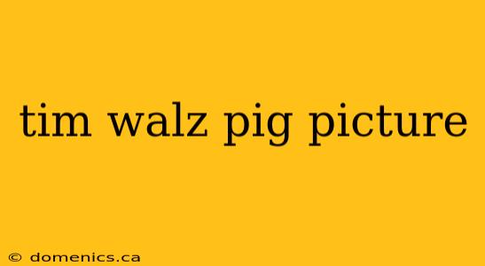 tim walz pig picture