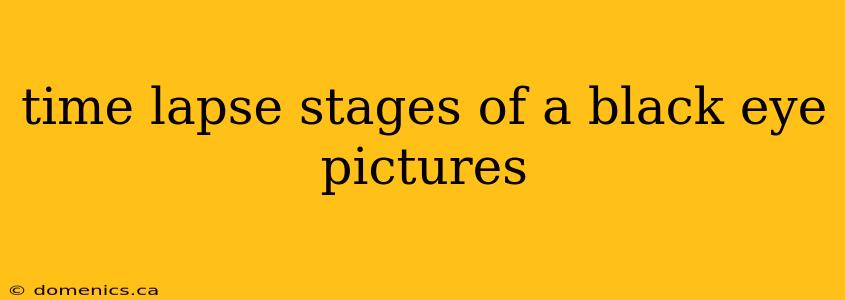 time lapse stages of a black eye pictures