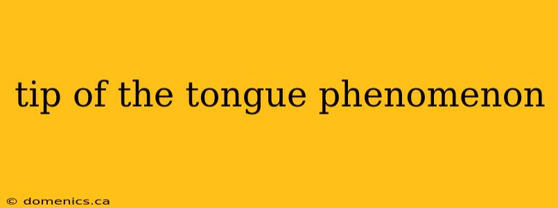 tip of the tongue phenomenon