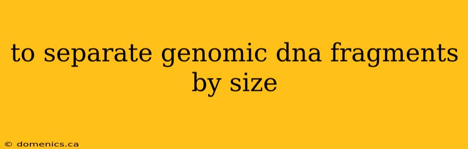 to separate genomic dna fragments by size