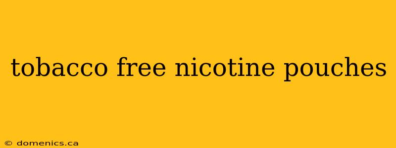 tobacco free nicotine pouches