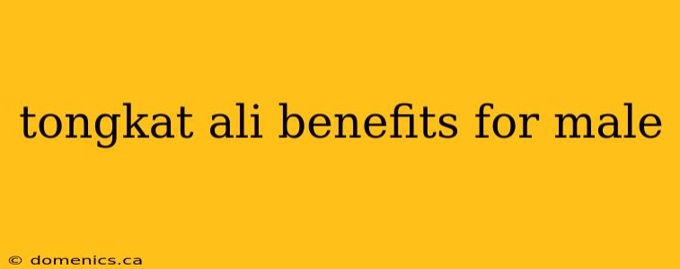 tongkat ali benefits for male