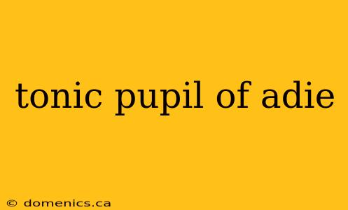 tonic pupil of adie