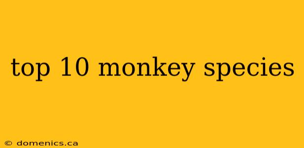 top 10 monkey species