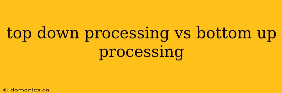 top down processing vs bottom up processing