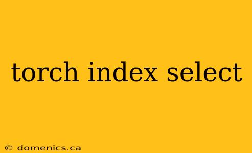 torch index select